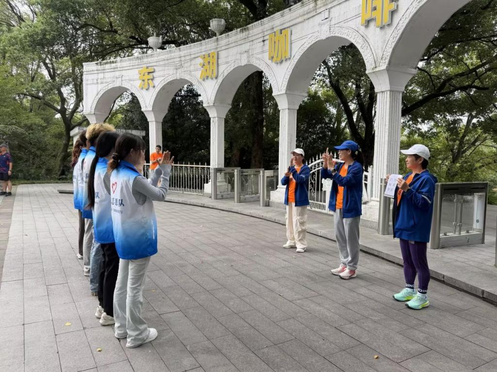 26233